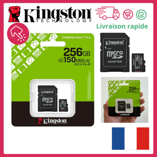 Carte micro 256 kingston - micro, go