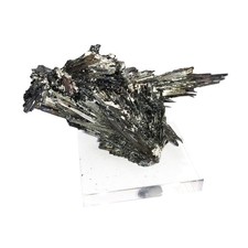 Stibine de Roumanie - MCSTI02