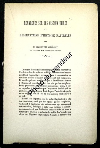 Ornithologie aube - ornithologie,