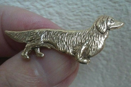 Broche teckel chien - or,