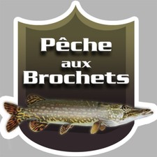 Pêche aux Brochets - 20x20cm