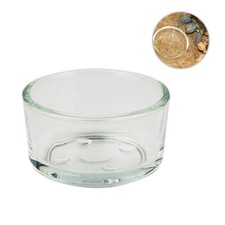  4 Pcs Gamelle Eau Aliment Tortue D'eau Abreuvoir Lézard Bol D'alimentation