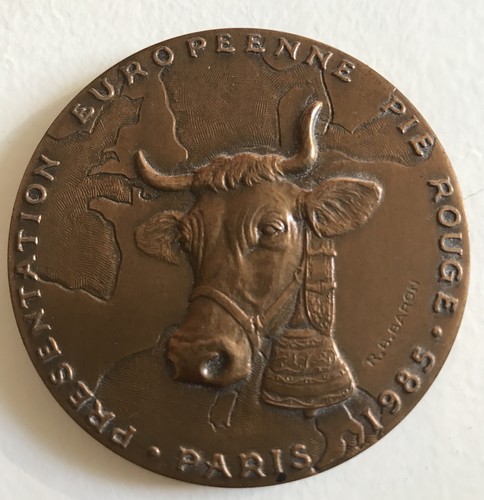 Medaille bronze concours - bronze,
