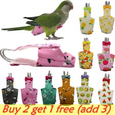 Oiseau Perroquet Couche