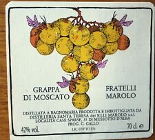 Etichette vino ITALIA GRAPPA DI MOSCATO F Marolo  Dist Santa Teresa  wine labels
