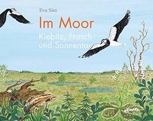 Moor kiebitz frosch - im, –