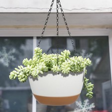  Panier de fleurs suspendu, jardinière d'intérieur, crochet, Pot de plantes,