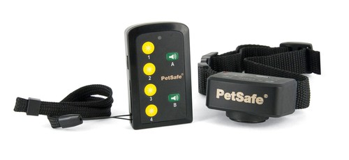 Collier dressage pour chien - dressage,