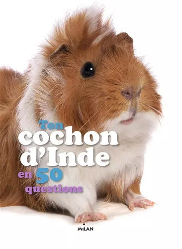 Ton cochon inde 50 - cochon, en