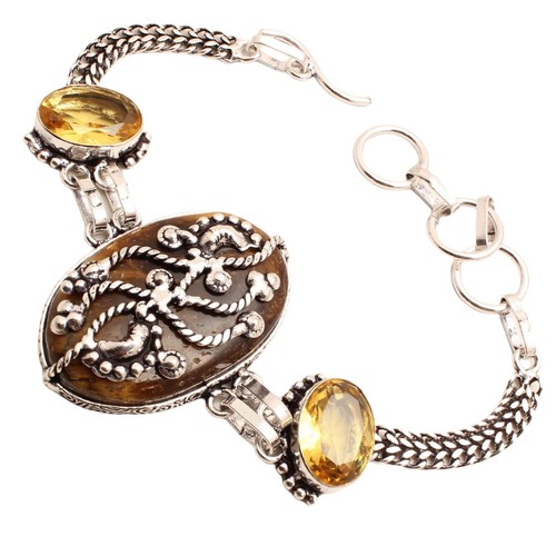 Tigre eye gemme - gemme, argent