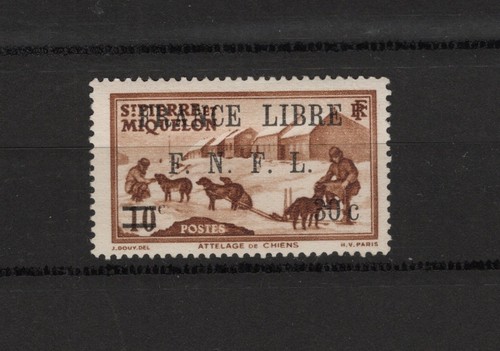 Saint pierre miquelon - saint,