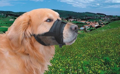 Muselière nobby chien - nobby,