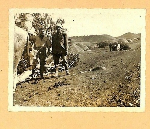 Guerre algerie photo - guerre, /
