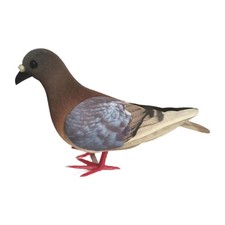 Pigeon de mousse de simulation