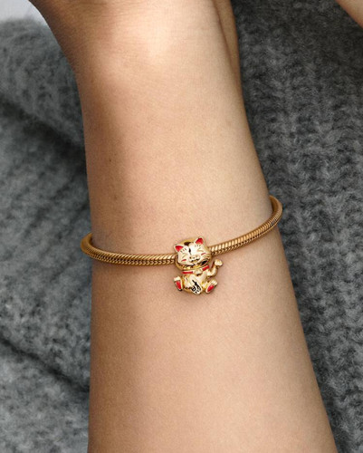 Charm chat pandora mignon - pandora,