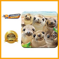 Sous-Verre Lenticulaire 3D