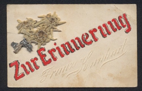 Carte postale fleurs - carte, de