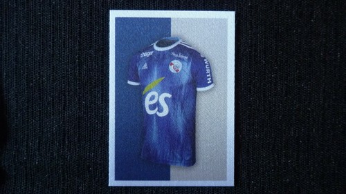 Sticker panini foot - panini,