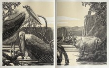 Paul JOUVE Gravure Animalière