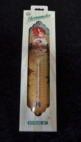 Thermomètre type - thermomètre, de