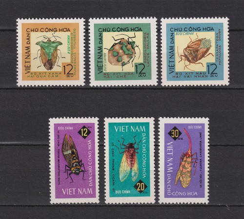 Vietnam nord n - vietnam,