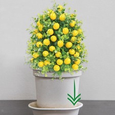 Artificiel Plante Garden Anky Greenery Arbustes pour la fête de mariage