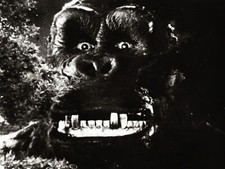Fantastique king kong 1933 - king,