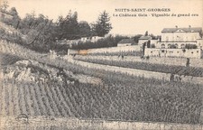 21-NUITS SAINT GEORGES-LE CHATEAU GRIS-N°6027-H/0309