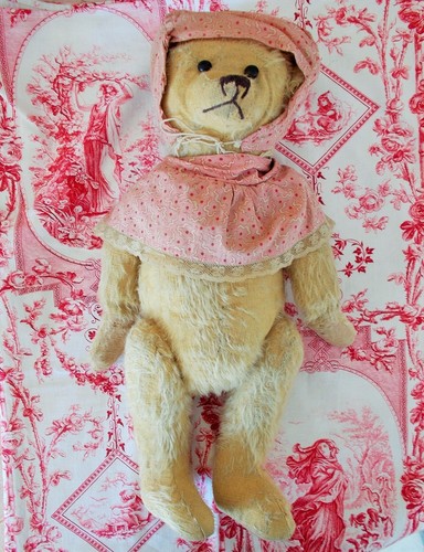 Ours ancien collection - ancien,