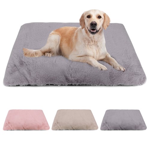 Lit pour chien - chien, shag