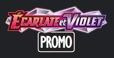 Carte Pokémon Promo Black