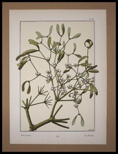  GRASSET, Eugène, Gui