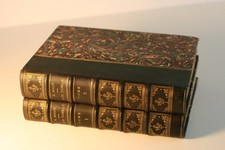 HECTOR MALOT, SANS FAMILLE, 2 VOL. JOLIES RELIURES CHAGRIN D'EPOQUE, DENTU 1888.