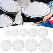 Caisse claire Peau de batterie