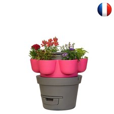 WORMgarden Fuchsia 1 niveaux