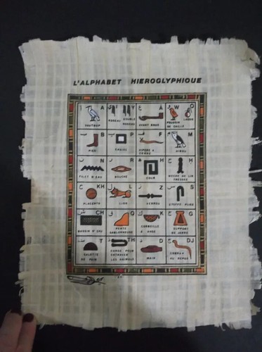 Superbe papyrus egypte - superbe,