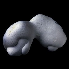 ★☆ GOGOTTE MAROC de