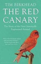 Le Rouge Canari : L'Historique