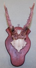 ANCIEN TROPHEE DE CHASSE