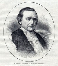 1873 E.Harold Browne Bishop Winchester Royaume-Uni Évêque Portrait Ancien Print