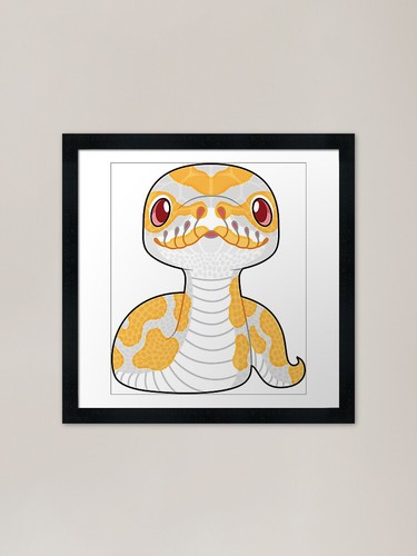 Albino ball python - ball, framed