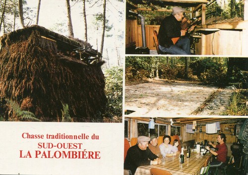 Carte chasse traditionnelle - carte,