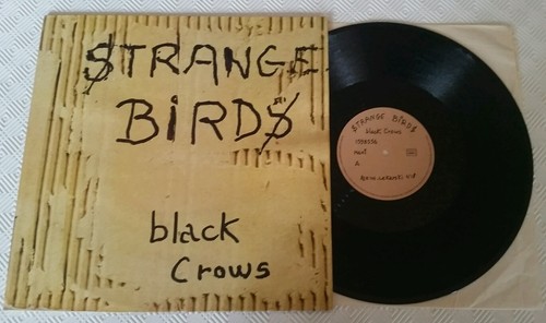 Black crows strange - crows, birds