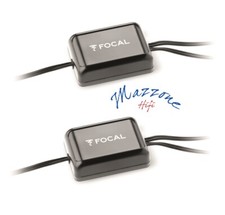 Multisegment Focal Paire 2