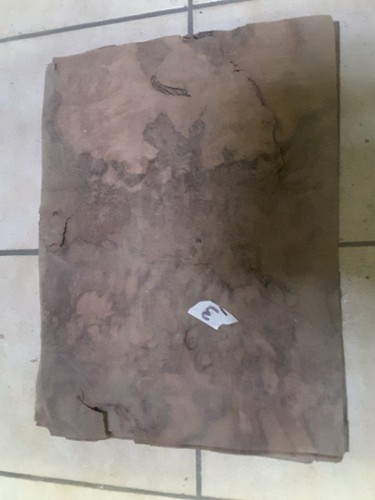 Placage loupe noyer - placage,