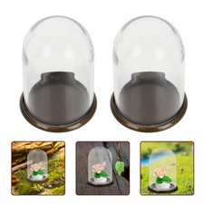  4 Pcs Vitrine En Verre Dôme Cloche Vitrines Pour Objets De Collection