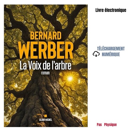 Voix arbre 2025 - voix,