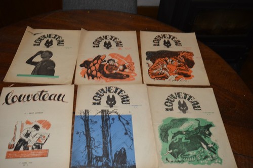 Lot revues louveteau - de,