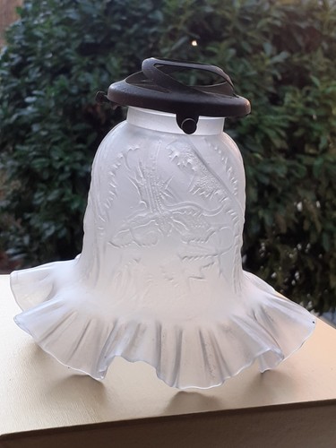 Bel ancien globe tulipe - bel,
