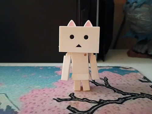 Danboard nyanboard cat - nyanboard,